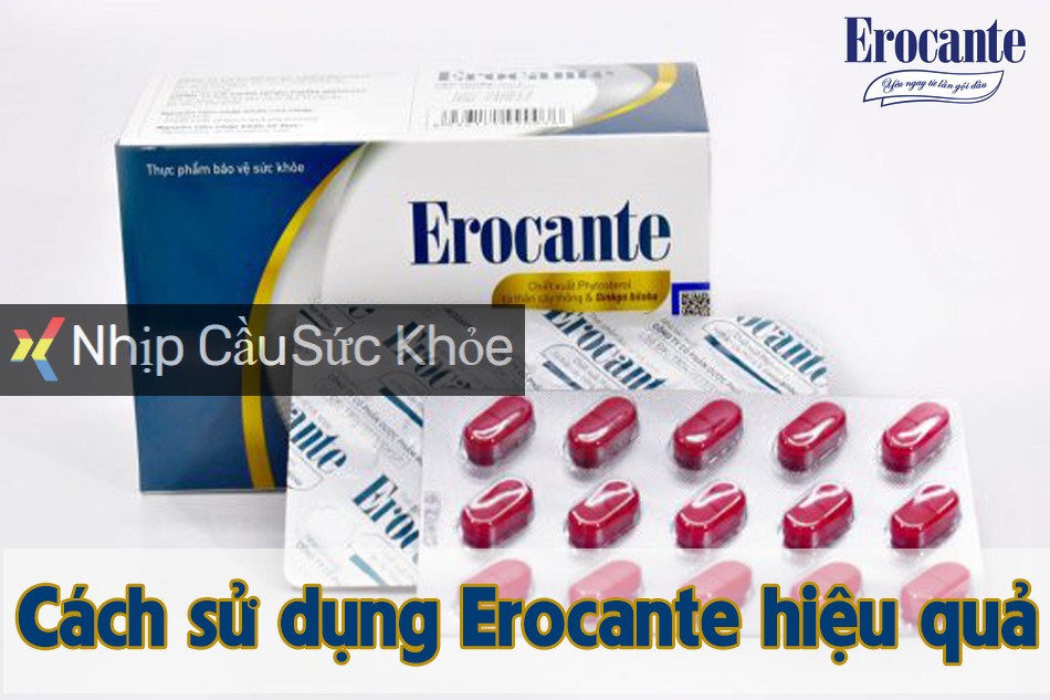 Cách sử dụng Enrocante hiệu quả 